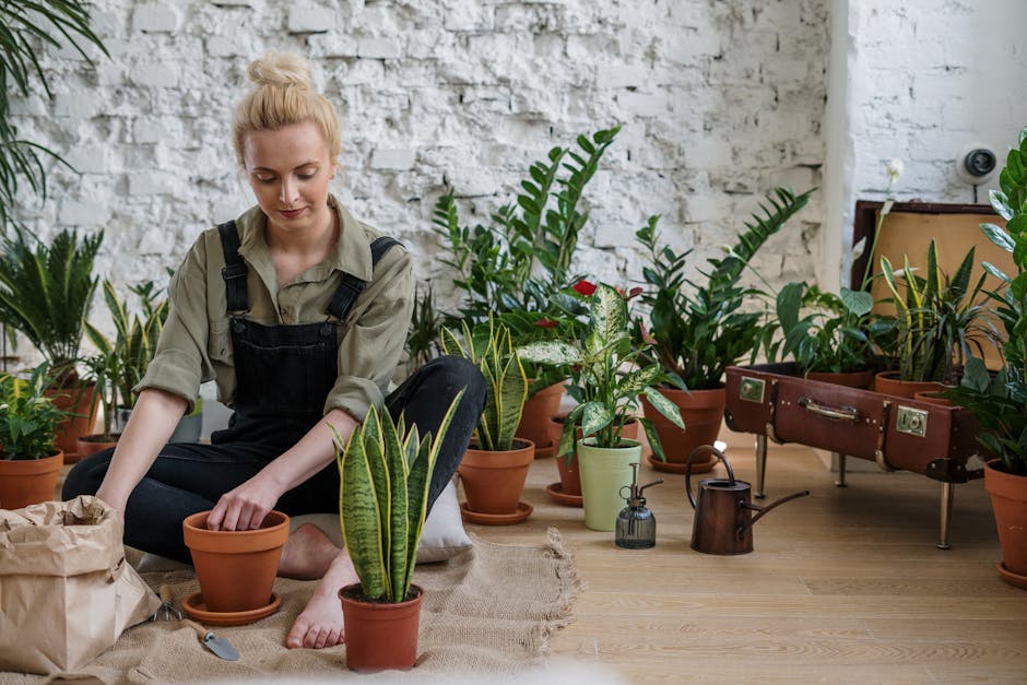 Free Assorted Houseplants