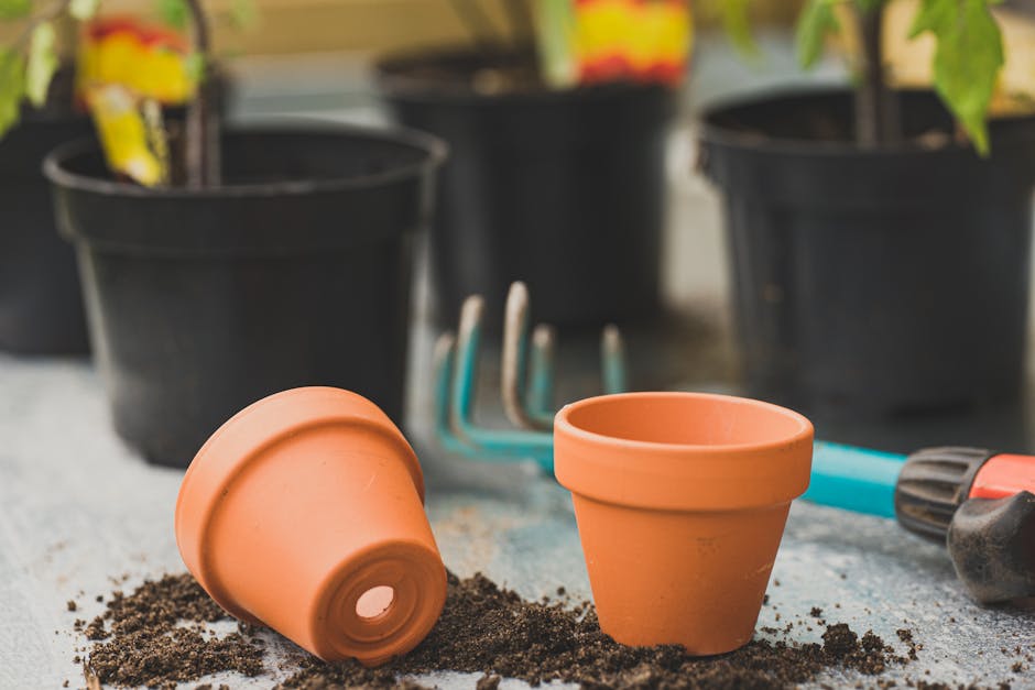 Terracotta Pots, Set of 6
