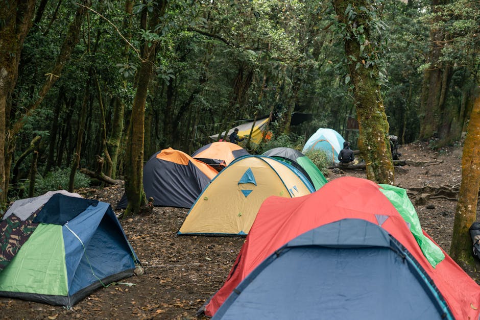 Coleman 4-Person Camping Set