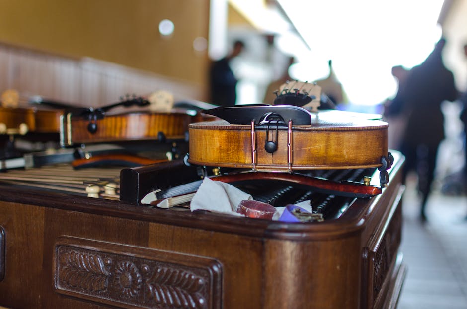 4/4 Student Violin Outfit