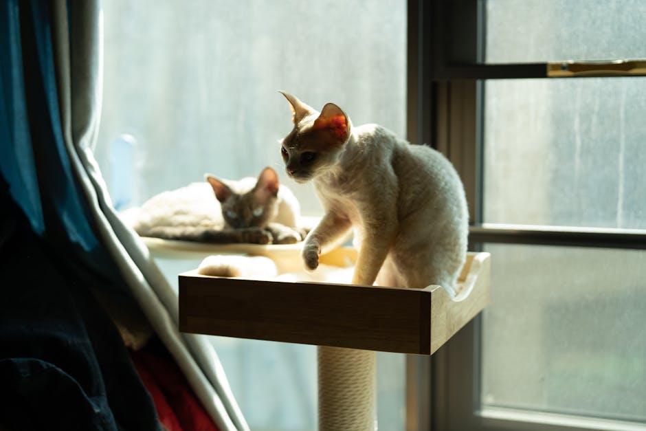 Cat Tree Tower, 5ft