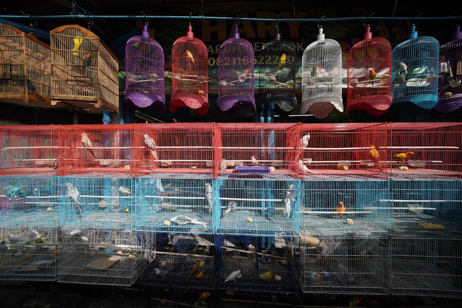 Large Bird Cage on Rolling Stand