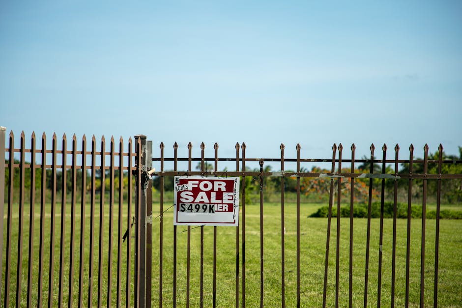 5-Acre Buildable Land