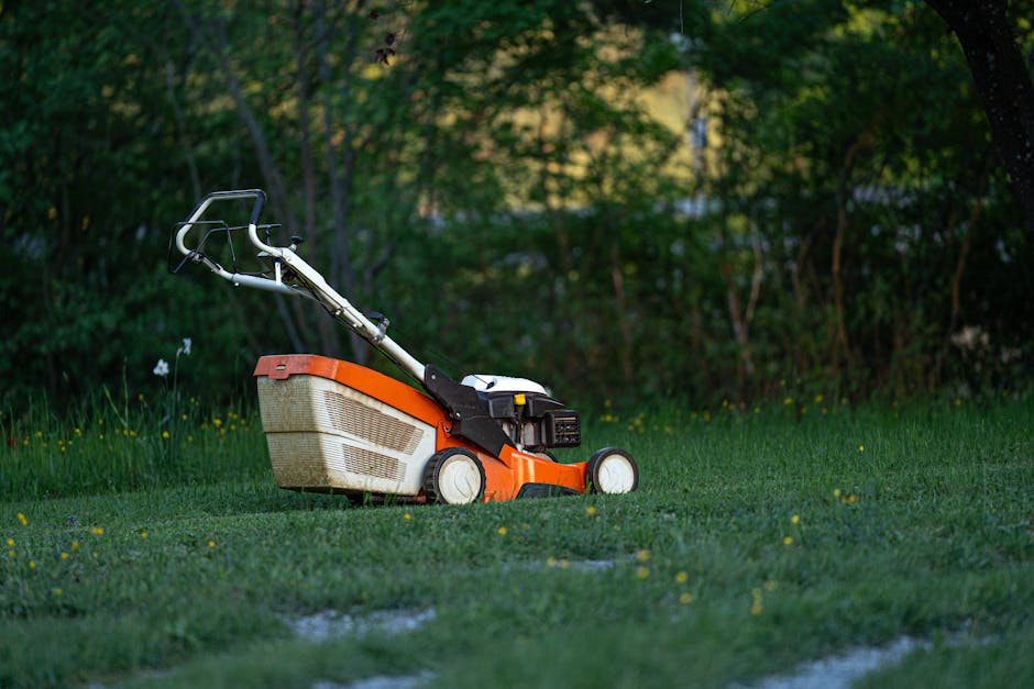 Lawn Mowing and Yard Cleanup