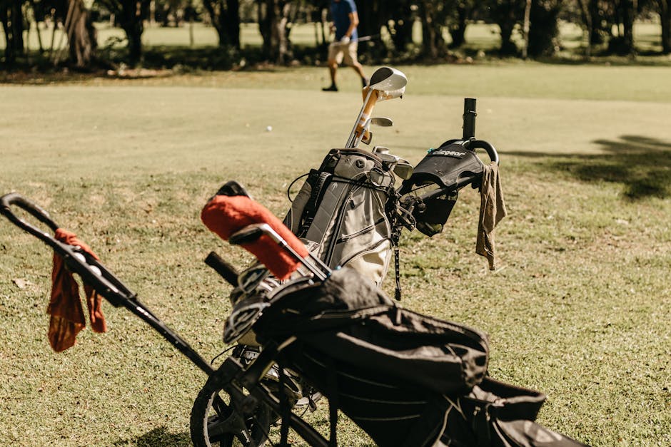Callaway Golf Club Set + Bag